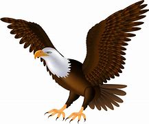 Image result for Cute Eagle Clip Art