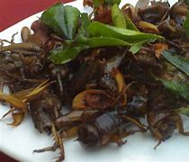 Image result for Fried Crickets