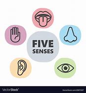Image result for 5 Senses Icons