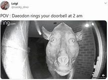 Image result for Pig Meme at Doorbell Ring