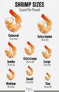 Image result for All Types of Shrimp