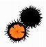 Image result for Sea Urchin Clip Art