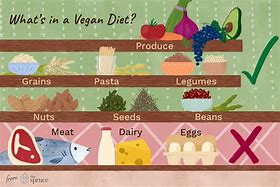 Image result for Vegan Food Meaning