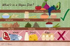 Image result for What Does Vegan Mean in Food