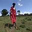 Image result for Maasai Ceremonies