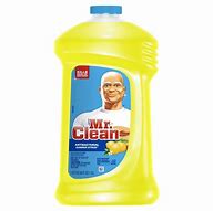 Image result for Mr Clean All-Purpose Cleaner