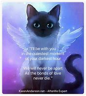 Image result for Grumpy Cat Poems