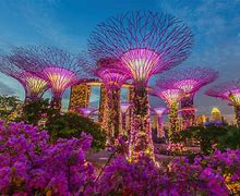 Image result for Upside Down Tree Garden by the Bay