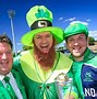 Image result for Ireland Cricket