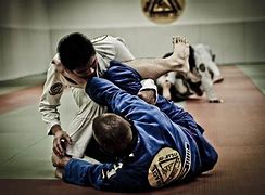 Image result for Judo vs Jiu Jitsu