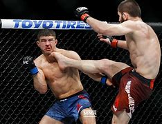 Image result for UFC MMA Fighting