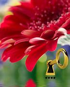 Image result for Galary Lock