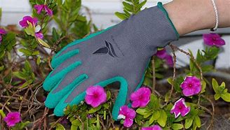 Image result for Gardening Gloves for Disabled People