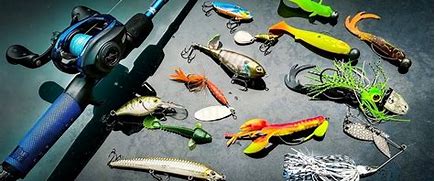 Image result for Fishing Lure Pics