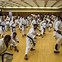 Image result for Japanese Exotic Karate