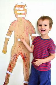 Image result for Human Body Preschool Worksheets