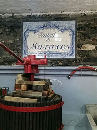 Image result for Quinta Marrocos Porto Late Bottled Porto