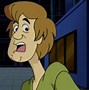 Image result for Shaggy Scooby Doo Face