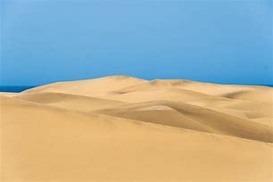 Image result for Desert Dust