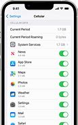 Image result for Cellular Network On iPhone Settings