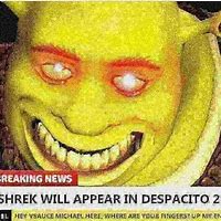 Image result for Dank Shrek Memes