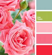 Image result for Pink Plus Green