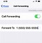 Image result for How to Forward Calls From an iPhone 6