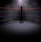 Image result for Wrestling Boxing Ring Wide Angle