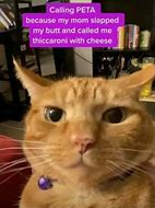 Image result for iFunny Cat