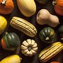 Image result for Different Summer Squash