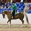 Image result for Western Horse Riding