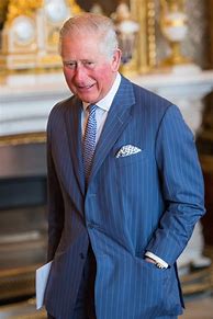 Image result for Charles Prince of Wales Suit