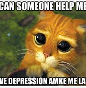 Image result for Depressed Cat Meme