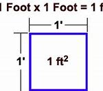 Image result for One Square Meter Compared to a Person