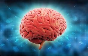Image result for Human Brain Capacity
