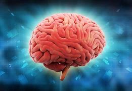 Image result for Human Mind