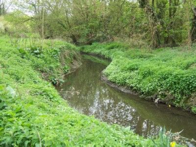 Image result for Linear Wave Spring