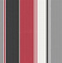 Image result for Red Black and White Stripes