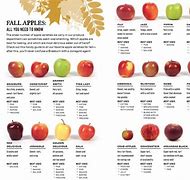 Image result for Table of Apple Size Month by Month