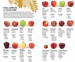 Image result for Tart Apples Varieties