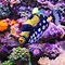 Image result for Saltwater Marine Fish