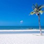 Image result for Summer Background Picture Windows 1.0
