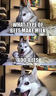 Image result for Boo Bees Dog Meme