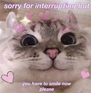 Image result for Wholesome Memes Postivity