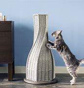 Image result for cat scratcher