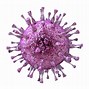 Image result for Cytomegalovirus