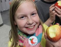 Image result for Michigan Apple Squuce