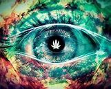 Image result for Black Eyes High in Weed