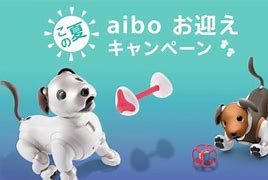 Image result for Aibo Bone