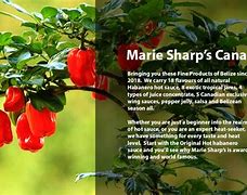 Image result for Marie Sharp Calgary